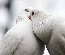 №61, Юрій Баліцкий, Киев №61, Юрій Баліцкий, Киев