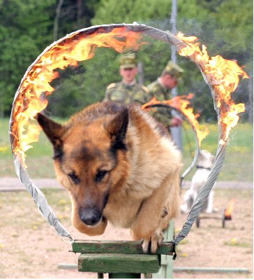 Вадим Ширко | 