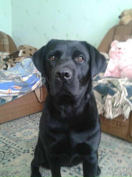 №101, Оксана Панина, 33 года, Саранск №101, Оксана Панина, 33 года, Саранск