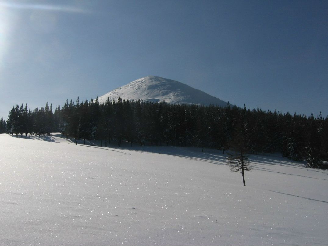 Наталия Котельникова | Киев