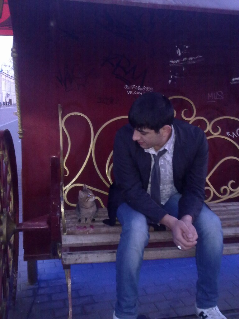 Funny Bear | Махачкала