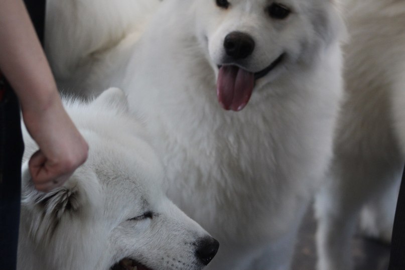 Егор Смолдырев | Иннополис