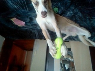 Александра Воронина | Москва