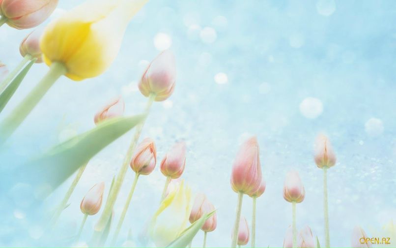 Мила Катаева | Санкт-Петербург