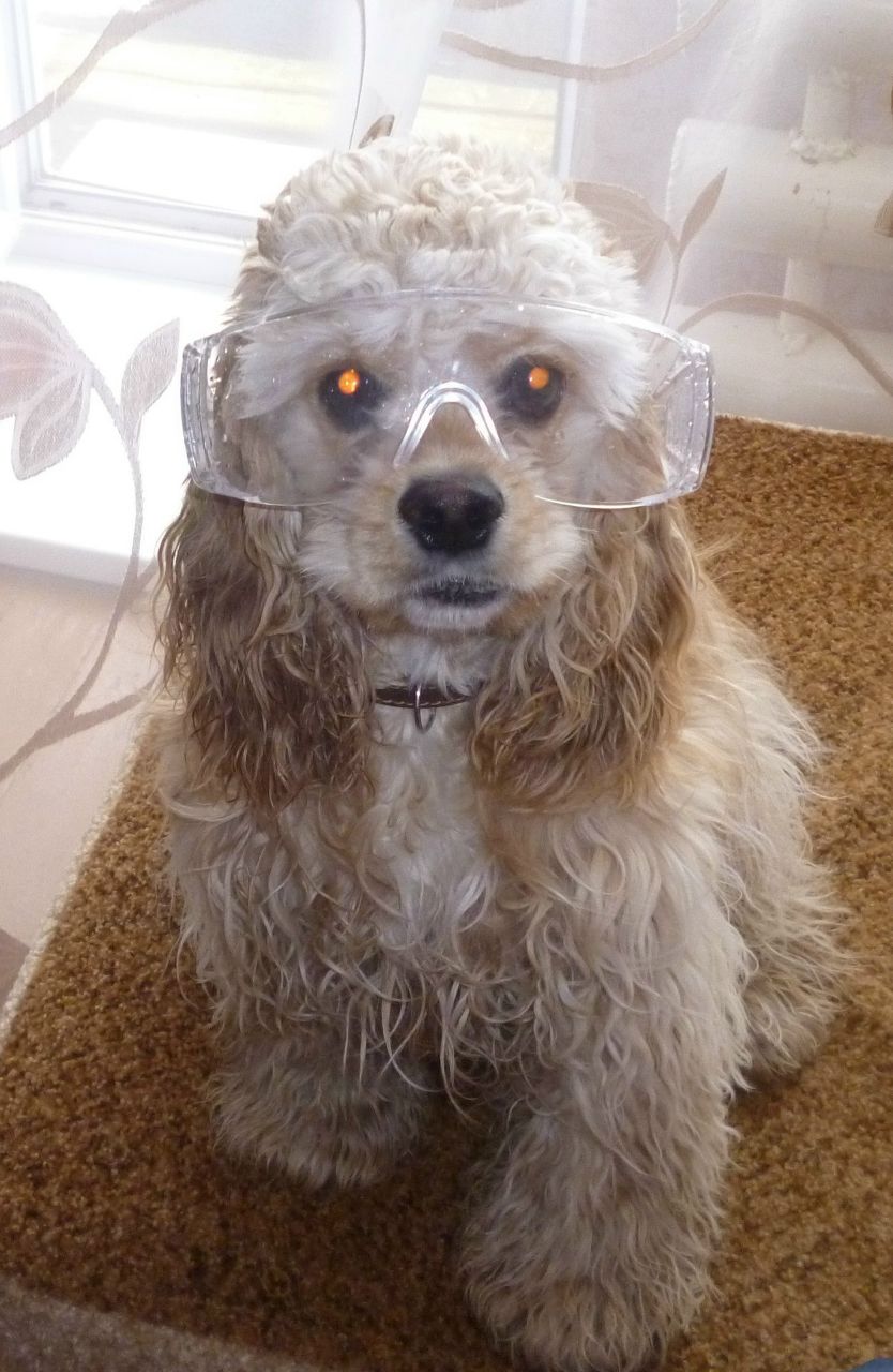 Иван Крысин | Нижняя Салда