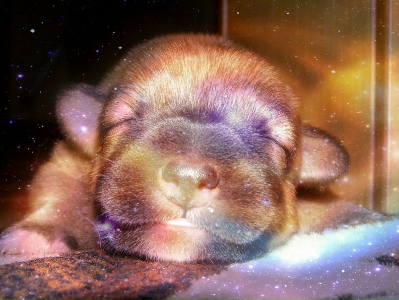 №92, Ксюша Вишнякова, 36 лет, Краснодар, Россия №92, Ксюша Вишнякова, 36 лет, Краснодар, Россия