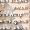 №25, Алена Фиалко, Нижний Новгород №25, Алена Фиалко, Нижний Новгород