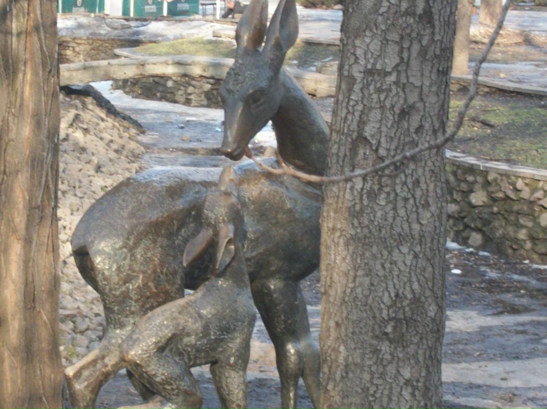 Роман Игнатовский | Каменское / Днепродзержинск