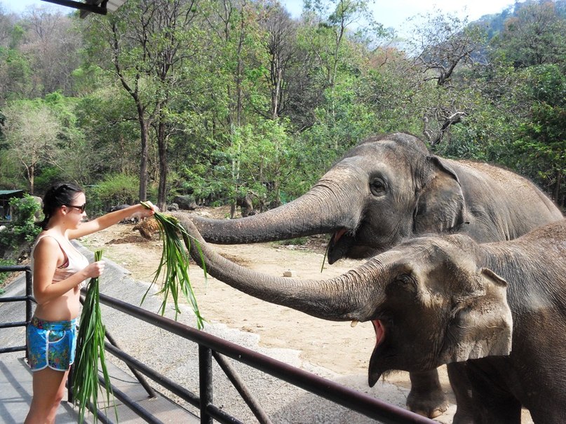 Юля Боданова | Рыбинск