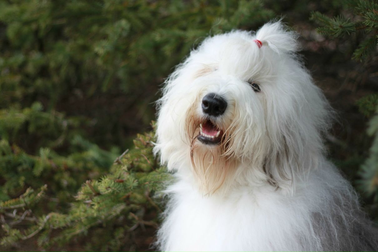 Светлана Валентинна ♥обОжаю...6о6о♥ | Москва