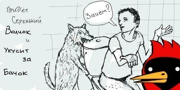 Никита Вдовицын | Костомукша