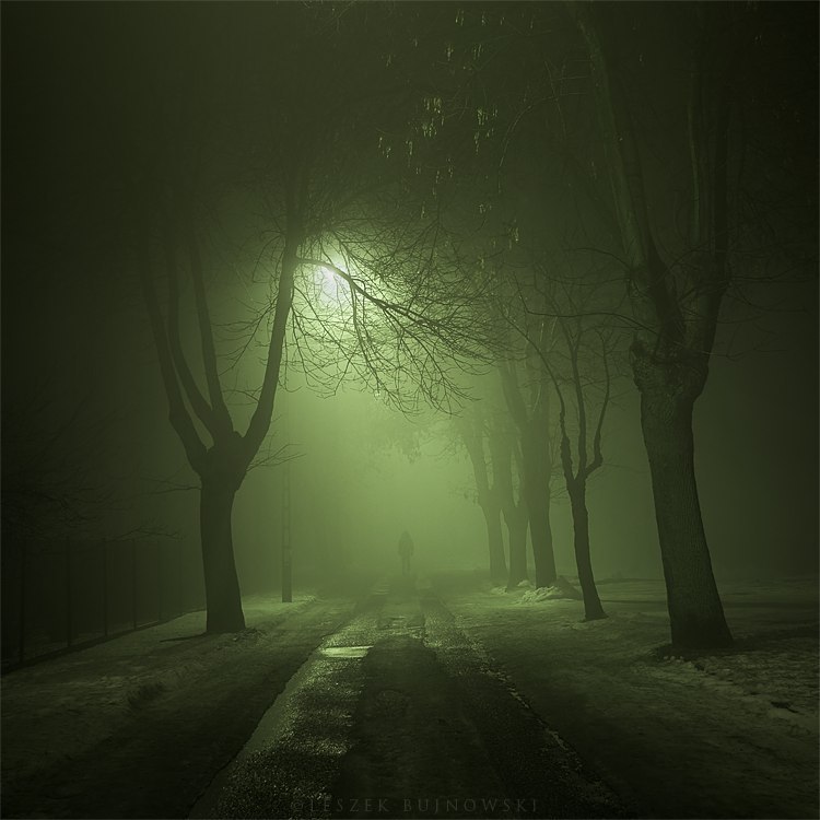 Толя Савельев | Санкт-Петербург