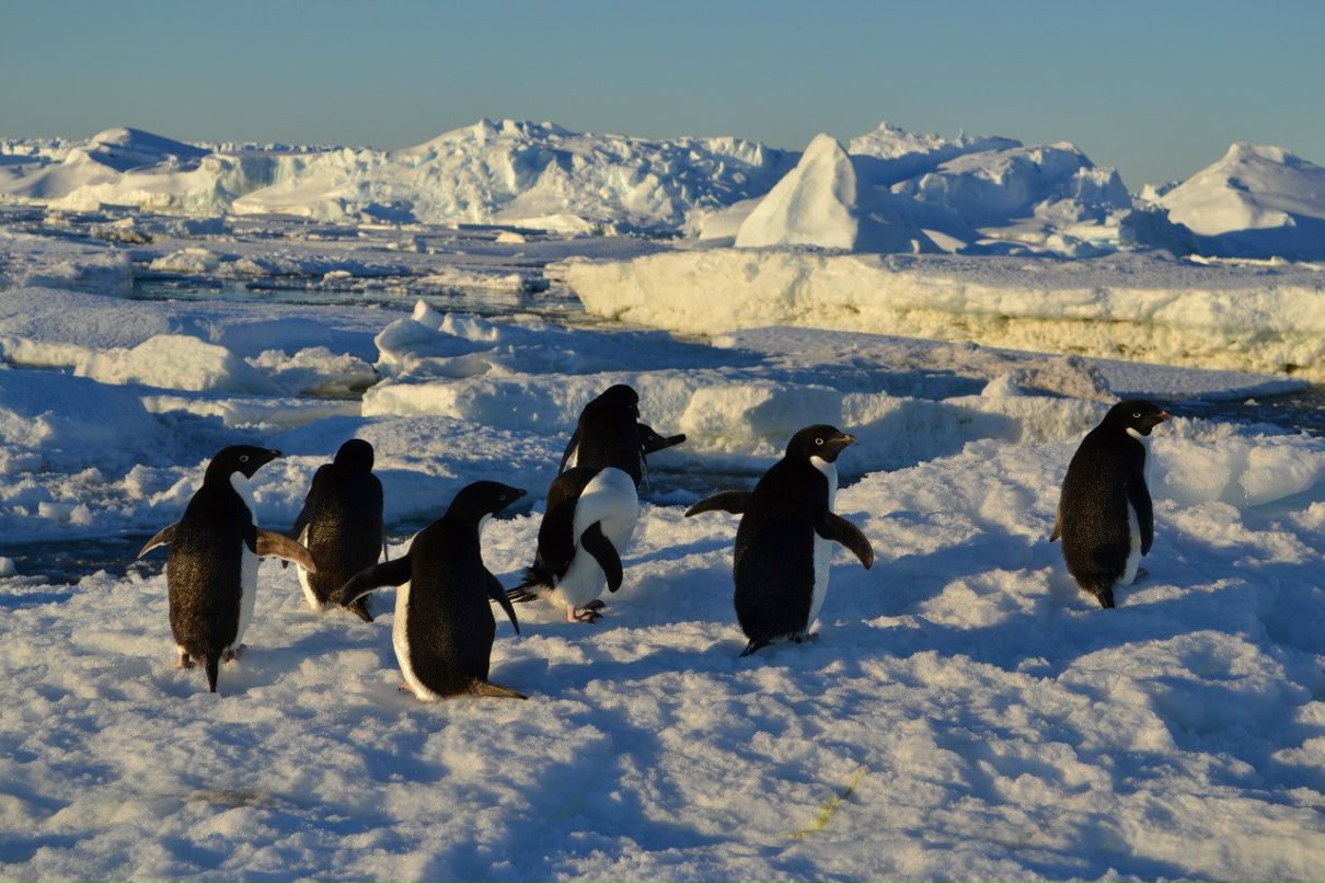 Алексей Зыль Иванович | Санкт-Петербург