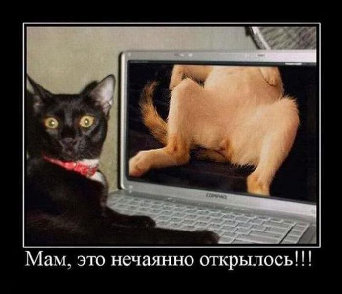 Артур Шевцов | Севастополь