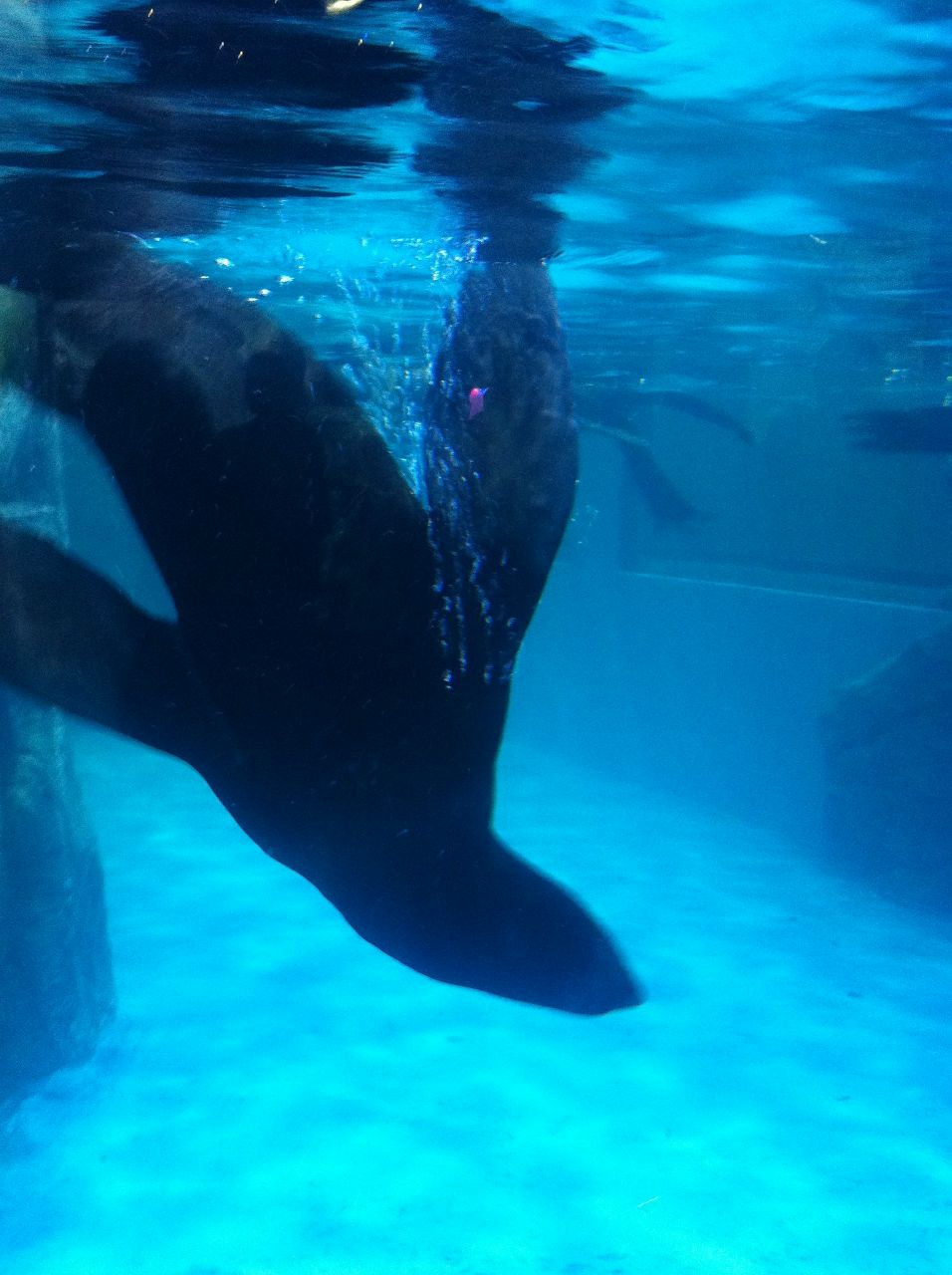 Марина Гулина | Златоуст