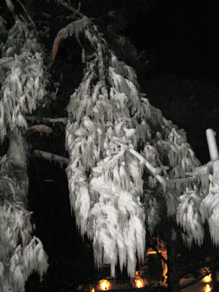 Екатерина Голубева | Ялта