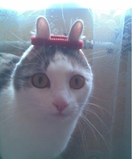 №158, Ириша Баранская, 39 лет, Киев №158, Ириша Баранская, 39 лет, Киев