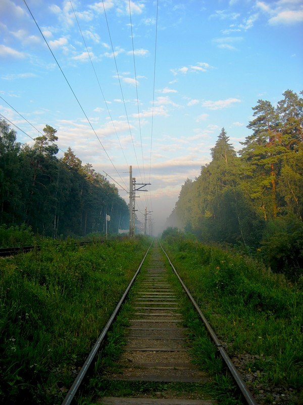 Алексей Madcool | 