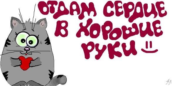 Сергей Вакарчук Александрович | Одесса