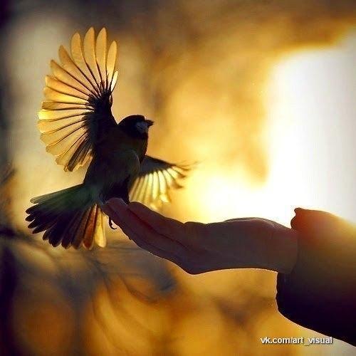 №124, Наталья Пилицына, 38 лет №124, Наталья Пилицына, 38 лет