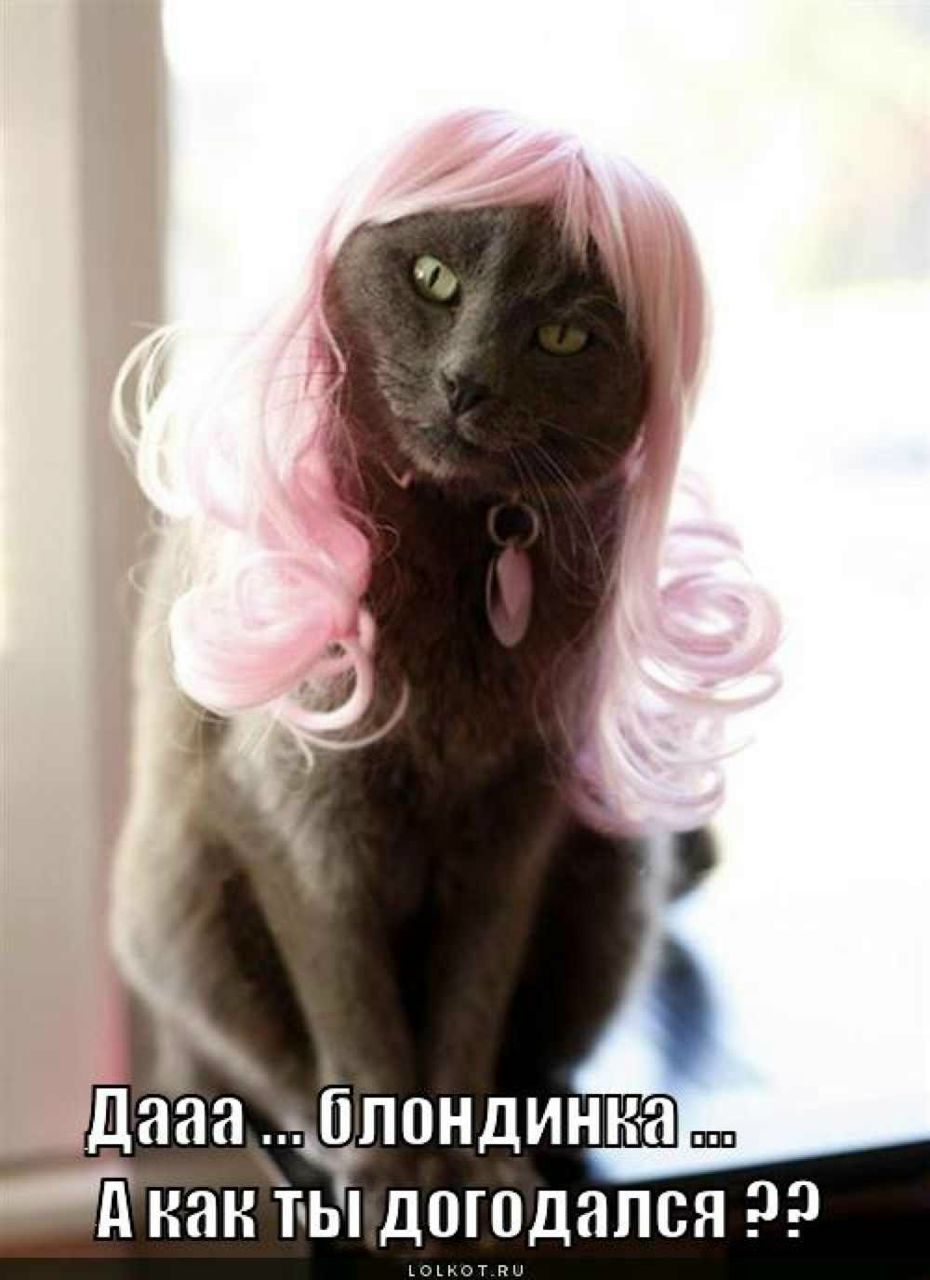 Елена Андреева | Москва