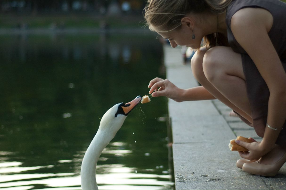 Диана Гейдебрехт | Paris