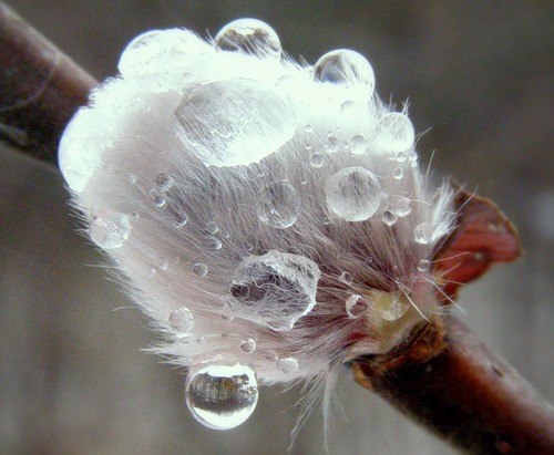 Елена Гордеева | Ярославль