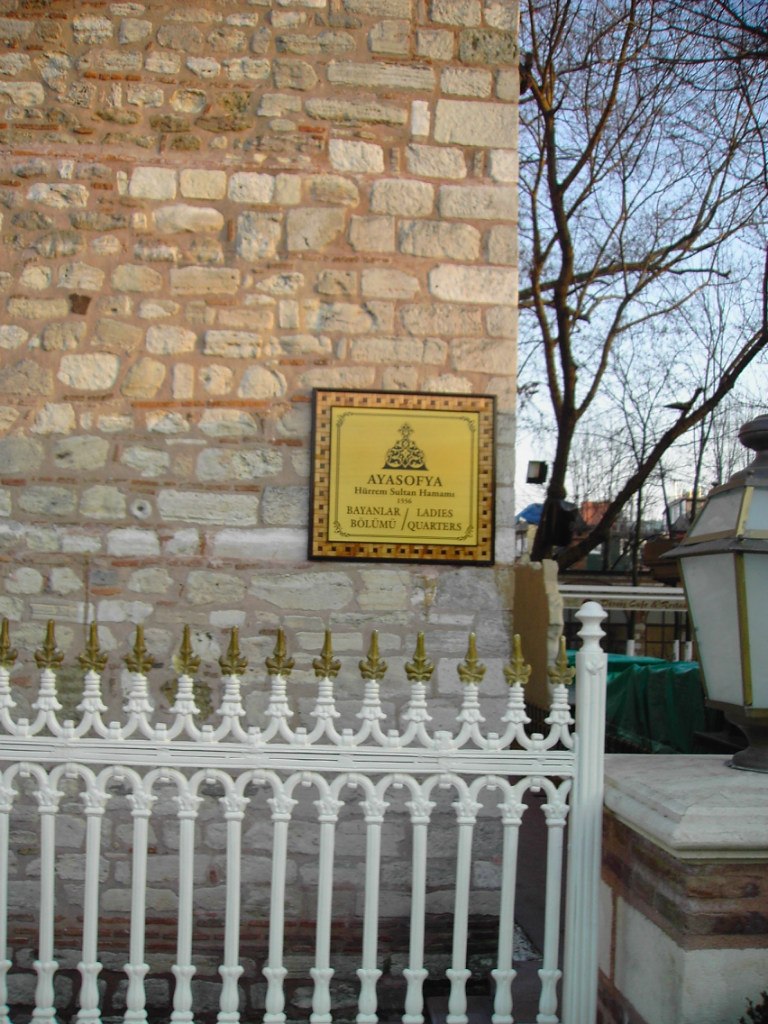 Татьяна Самотруева | 