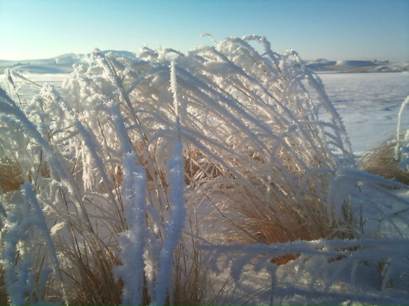 Иван Босниец | 