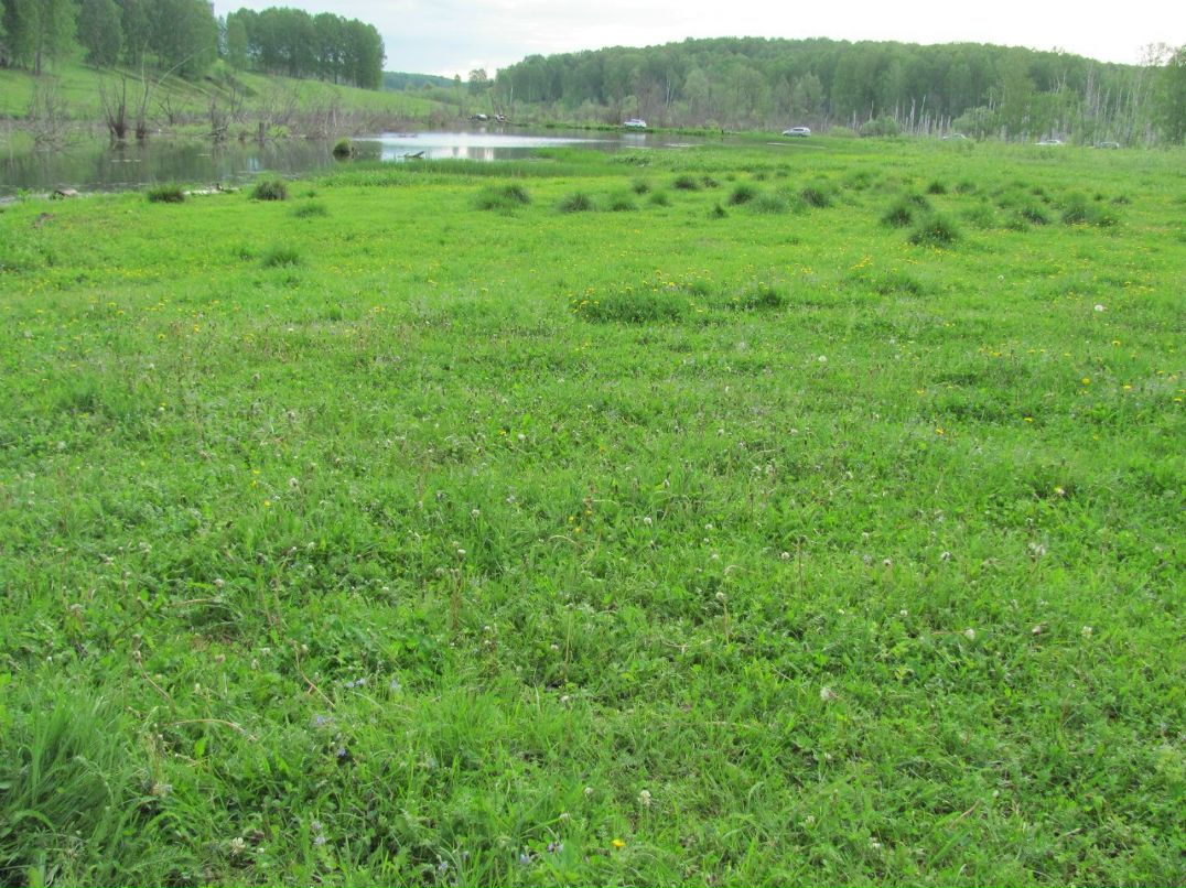 Mihail Nefedov | Новосибирск