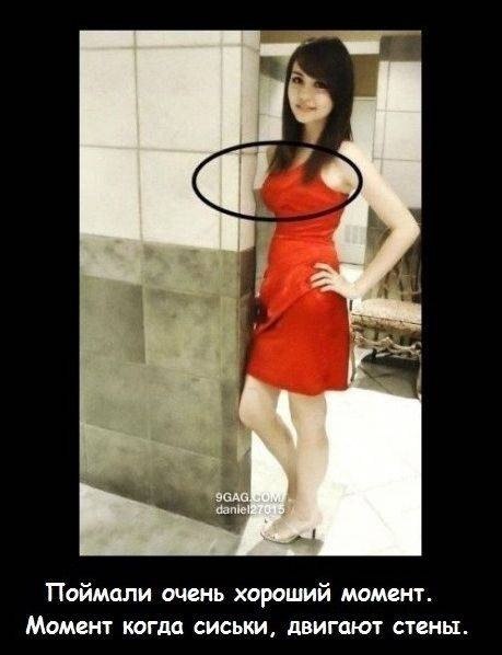 Алексей Жарков | Москва