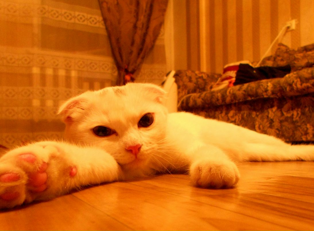 Юлия Картышева Stu | Тула