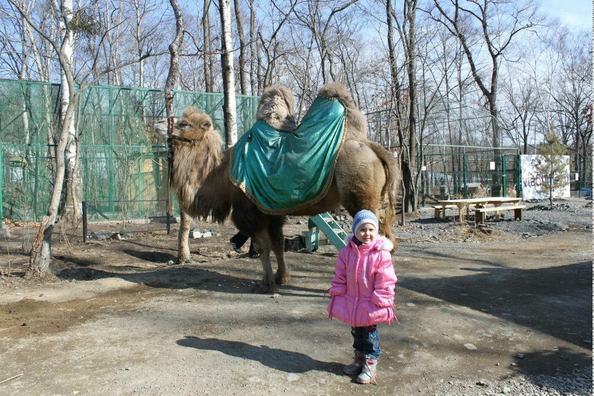 Александр Морозов | Самара