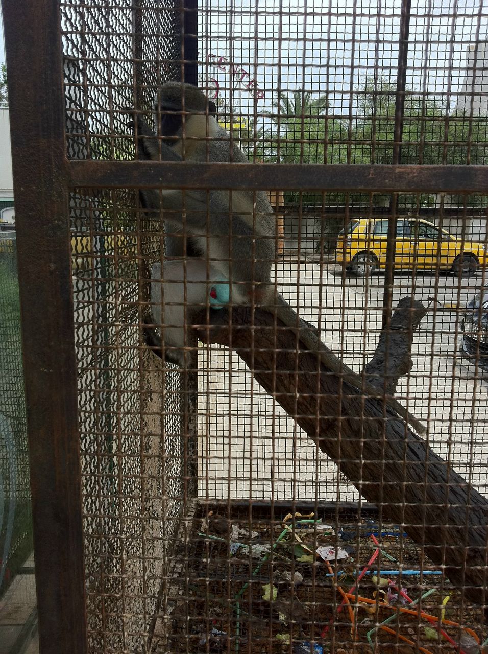 Тёма Sema | Санкт-Петербург