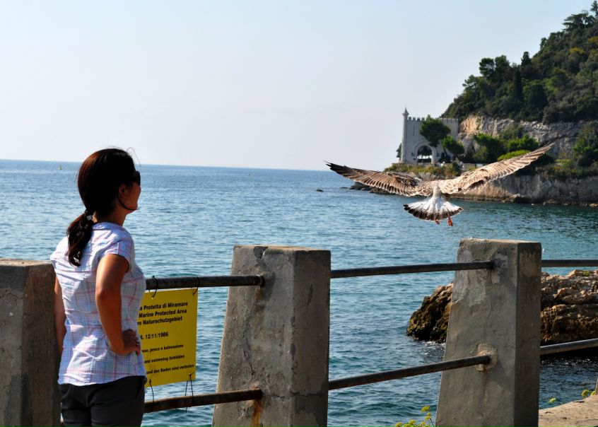 №3, Анастасия Гришина №3, Анастасия Гришина