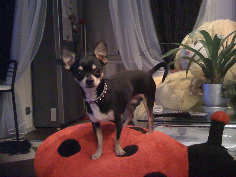 Марина Багаева | Киев