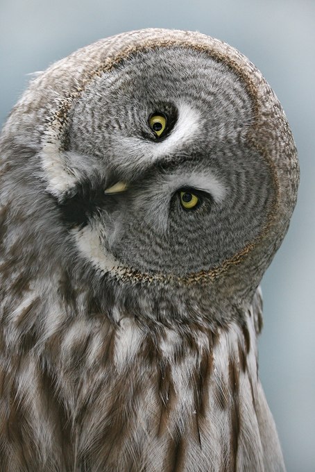 Екатерина Костина | Краснодар