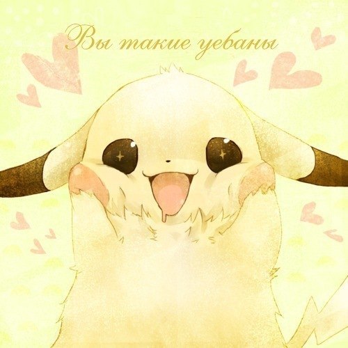 Ярослав Орлов | Краснодар