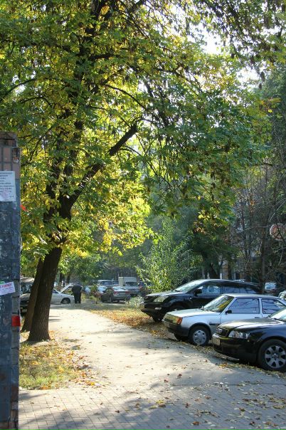 №71, Владимир Голубь, 73 года, Днепр (Днепропетровск) №71, Владимир Голубь, 73 года, Днепр (Днепропетровск)