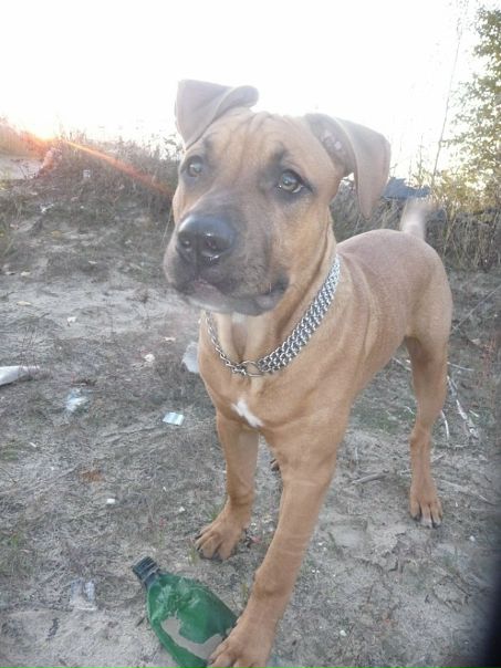 №35, Миша Баданин, 38 лет, Северодвинск №35, Миша Баданин, 38 лет, Северодвинск