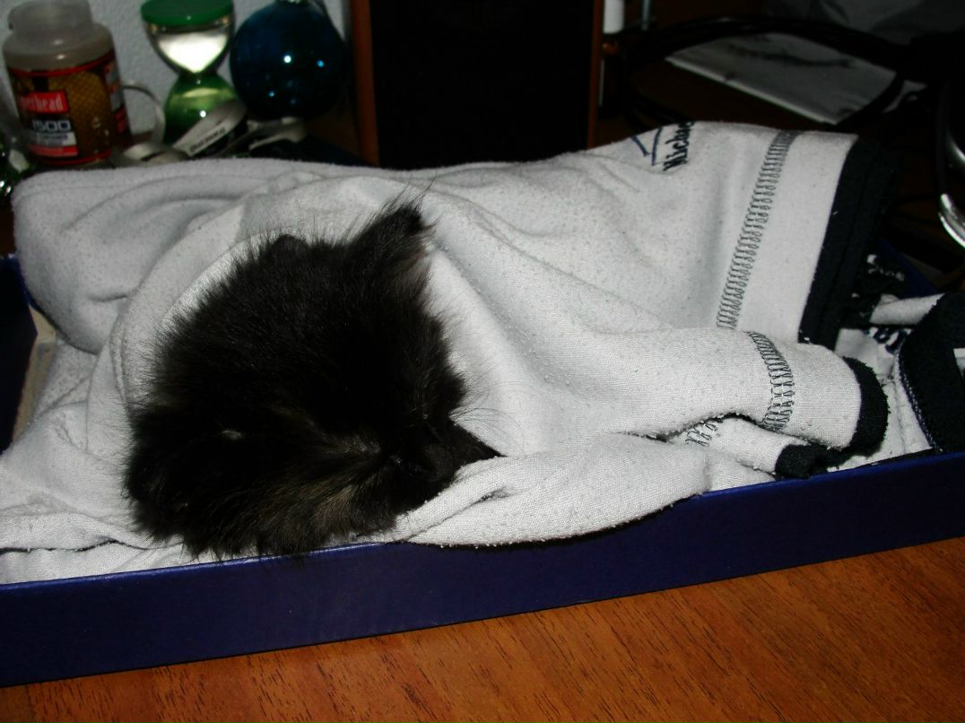 Павел Аристархов | Челябинск