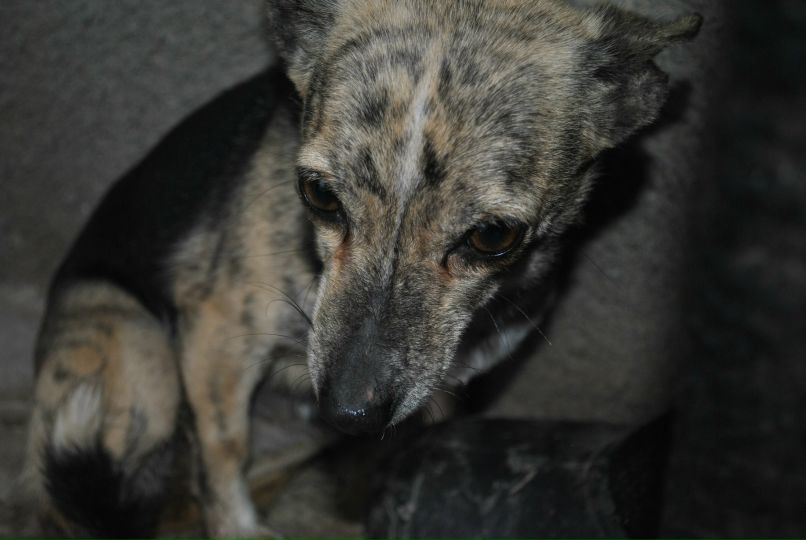 Дмитрий Зубко | Керчь