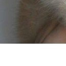 №164, Полина Долгих, 35 лет №164, Полина Долгих, 35 лет