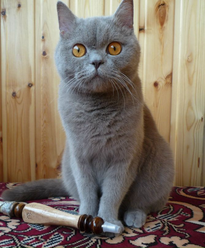 Руслан Валиуллин | Набережные Челны