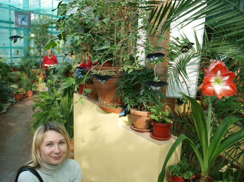 Резеда Сафиуллина | Казань