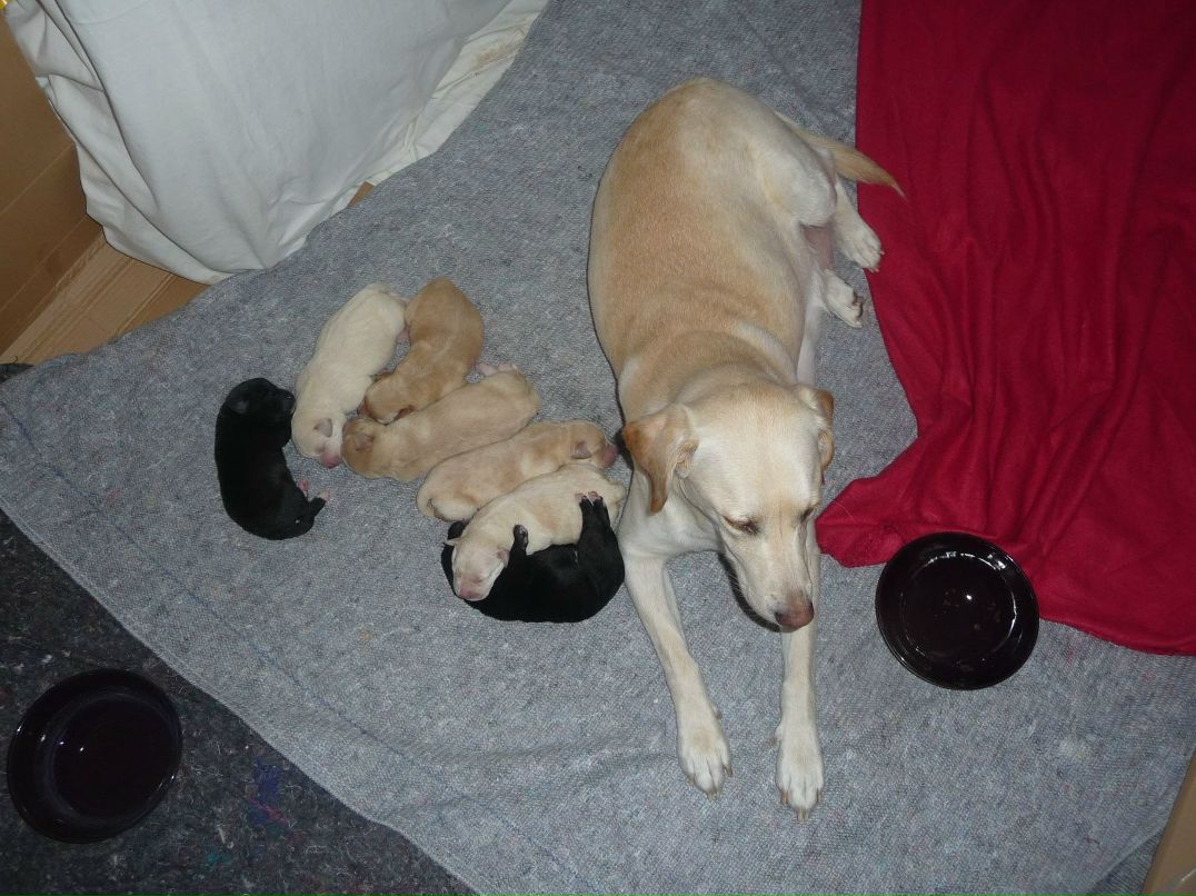 Torsten Торстен ☺Teddy☺ | Meitingen