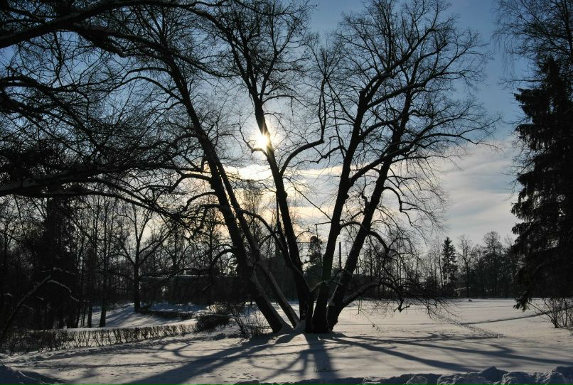 Юра Марков Князь Lorenzo | Санкт-Петербург