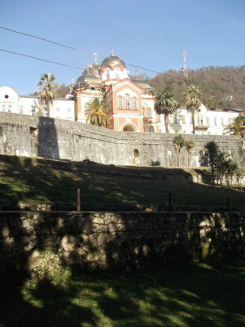 Вася Гришин | Санкт-Петербург