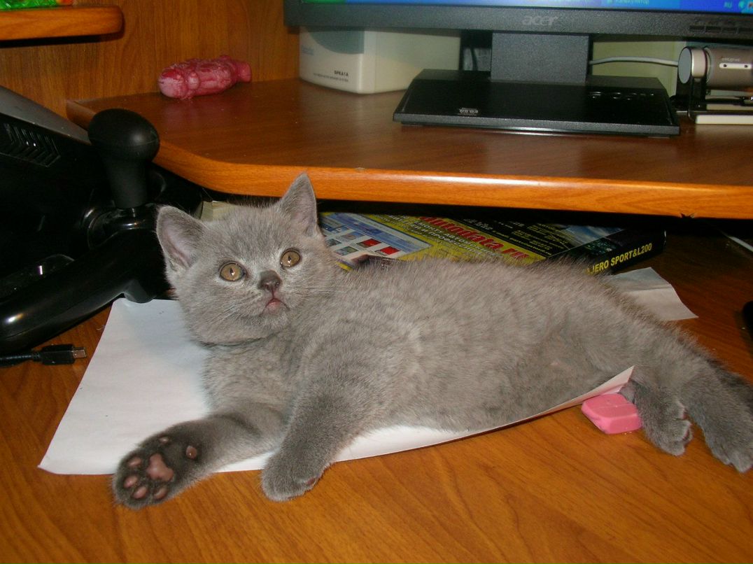 Людмила Девятникова | Петрозаводск