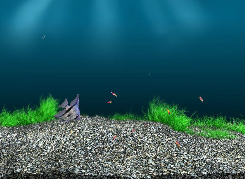 Леша Платонов | Новосибирск